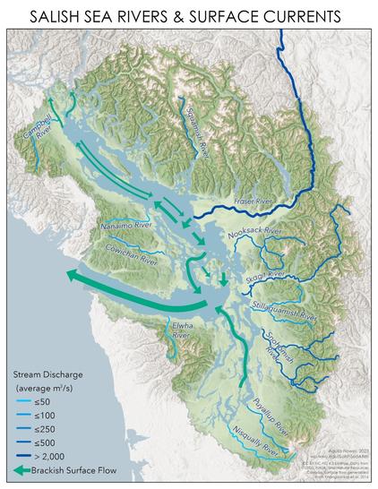 A map of major rivers that flow into the Salish Sea, and the flow of surface currents in the sea itself. The rivers and surface flows are colored and sized according to the volume of flow.
