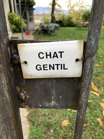 Friendly cat, a photo from a recent walk