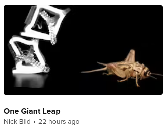 A screenshot of an article thumbnail showing a cricket, maybe some sort of sort mechanism, with a headline that in no way explains what the article is about should you click through.