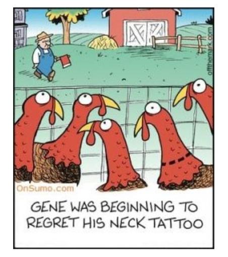 Cartoon of several turkeys in a farmyard, behind a wire fence. They are all looking fearfully at a farmer in the distance, who has an ax in his hand. One turkey is even more wide-eyed in terror than the others, and has a dotted line around his neck.

The meme text reads, “Gene was beginning to regret his neck tattoo.”