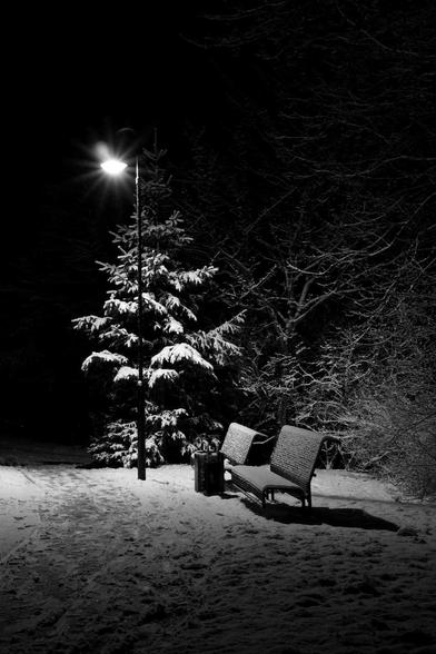 Schwarz-Weiß-Foto einer Laterne im Schnee. Dahinter ein Nadelbaum, rechts im Bild zwei schneebedeckte Bänke.