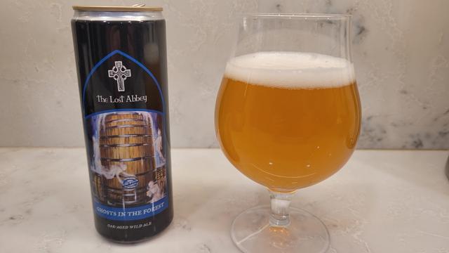 Beer can and glass of beer