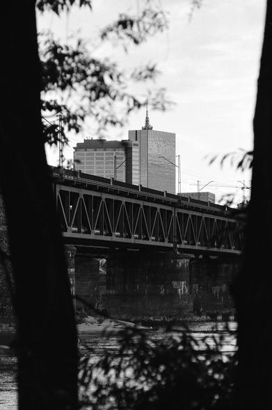City and river as seen from the bushes near the Gdanski Bridge in Warsaw