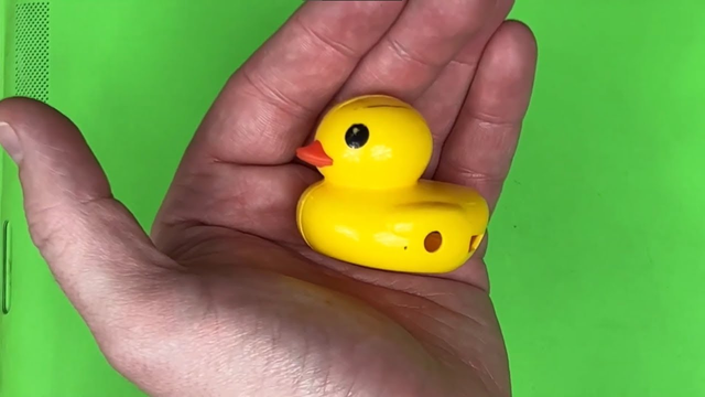 A yellow duck