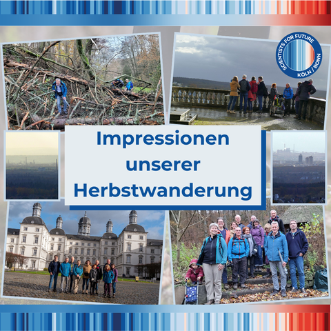 Collage von Gruppenfotos der Herbstwanderung