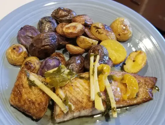 barramundi Asian seabass