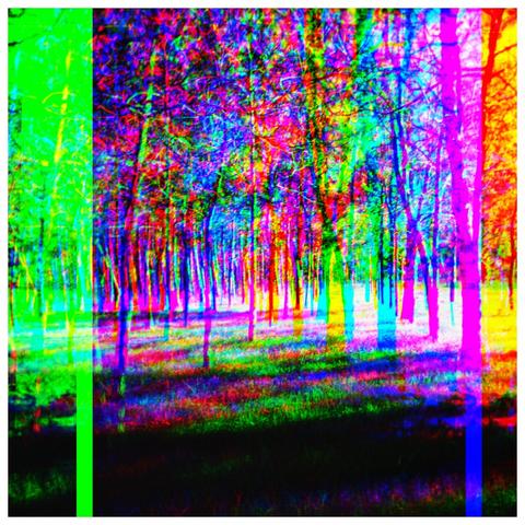 An avenue of trees that have been channel shifted in Processing programming language to give a multicoloured abstract effect.