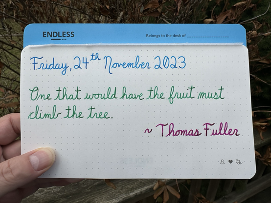 “One that would have the fruit must climb the tree.” ~Thomas Fuller