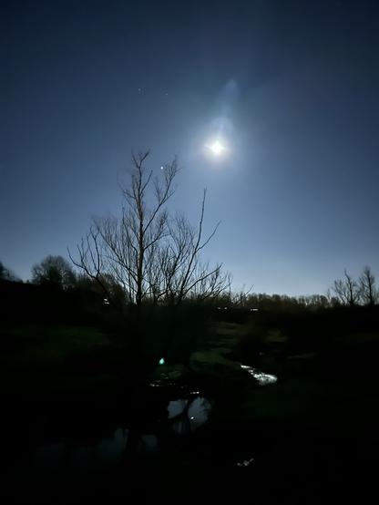 A willow tree beside a brook in a green valley at night, the moon and stars visible over the tree