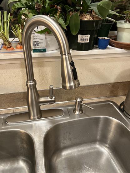 A new stainless steel mixer kitchen faucet in a double kitchen sink. There are various plants placed on the windowsill behind, including some carrot tops growing.
