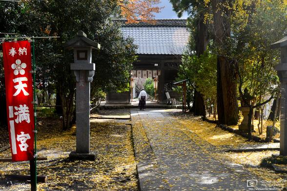 Autumn colors at Mirakami Shrine outside Nagano, Japan.