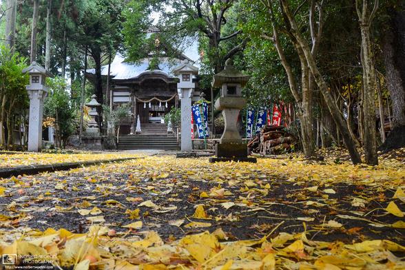Autumn colors at Mirakami Shrine outside Nagano, Japan.