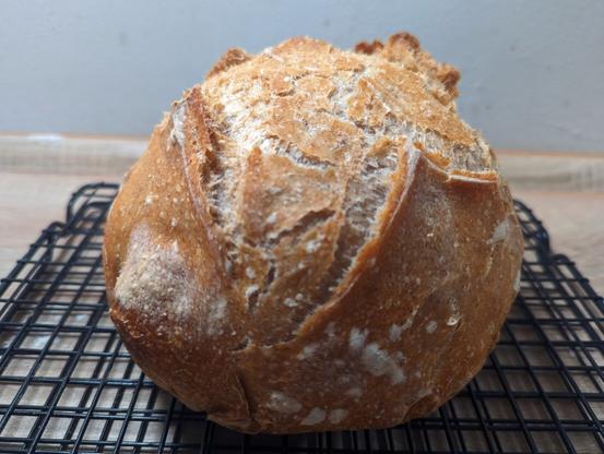 Ein helles Weizenmischbrot. Es ist im Duch-Oven gebacken und daher extrem gut aufgegangen. Man erkennt deutlich sie Einschnitte und den Aufbruch.