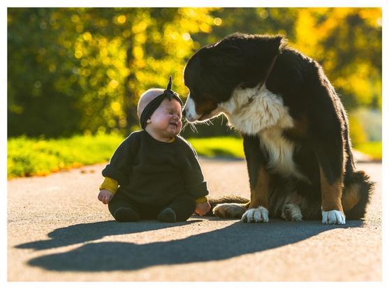 Ein kleines Kind sitzt auf einem Weg und lacht mit geschlossenen Augen, weil  der grosse Familienhund die Nase ganz nah an das Kindegesicht hält. Der Hund sitzt auch auf dem Weg, vor den beiden ist ihr Schatten zu sehen. Im Hintergrund sind Bäume zu erkennen.