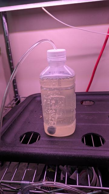 Small Algae Bioreactor