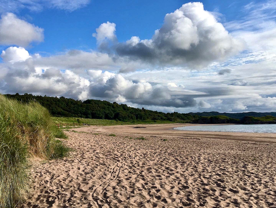 A beach with a curve of sea to the right. Sand and maram grass in the fire. Tree line on the horizon, Fluffy white clouds in blue sky