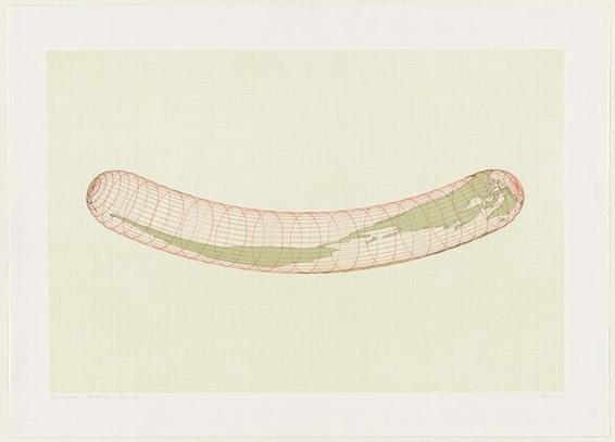 A drawing of the earth using a map projection that stretches the earth into the shape of a hot dog. By artist Agnes Denes in 1976