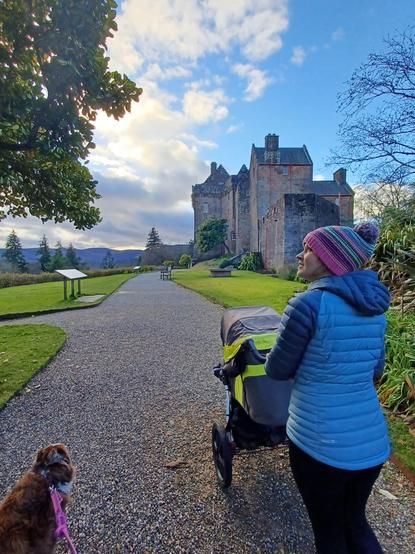 A woman with a buggy, and a red and white border collie, strolling through Brodixk Castle Gardens. The red sandstone walls and towers castle can be seen beyond them.