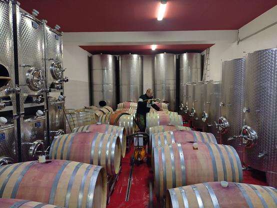 Ein großer Raum um den kleinere und große Tanks aus rostfreiem Stahl stehen. Dazwischen eine Menge kleiner Holzfässer, grob in drei Reihen angeordnet und eine Person die mit einer Pumpe und Schläuchen an einem der Fässer herumhantiert.