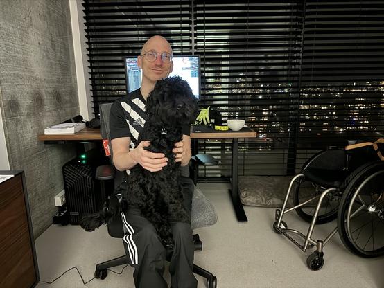 Joy the black Doodle sitting on the lap of her human