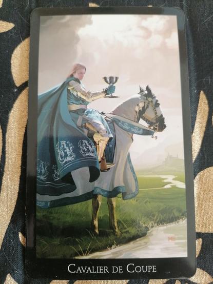 Un cavalier juché sur son destrier au bord d'une rivière dans une prairie verte. Au loin, un château.
Le cavalier blond semble regarder un reflet dans la coupe d'argent qu'il tient dans sa main droite.
Sans épée apparente, il porte tout de même une armure argentée et une belle tunique, ainsi qu'une cape bleue flottante ornée de broderies argent de Sirènes à deux queues.
La bride et la couverture de son cheval sont blanches, aux liserés du même bleu que sa tunique, et ornées de motifs en forme de vagues.