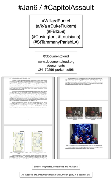 Screenshot of pages from court document pertaining to January 6th riot suspect Willard Purkel (Covington, Louisiana).