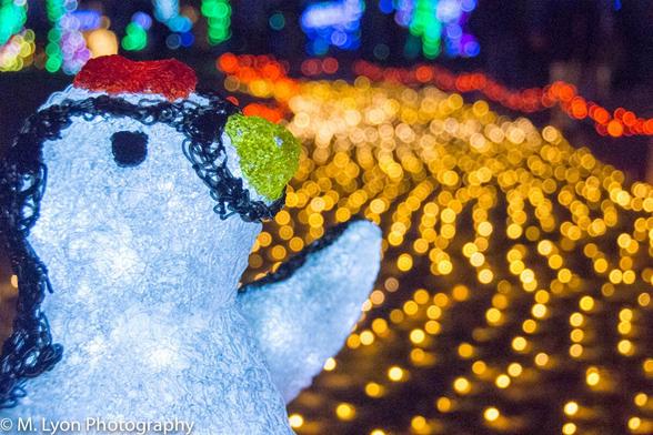 Christmas illuminations with a penguin character on display