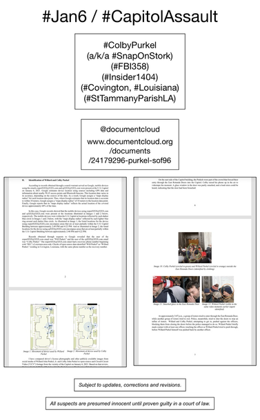 Screenshot of pages from court document pertaining to January 6th riot suspect Colby Purkel (Covington, Louisiana).