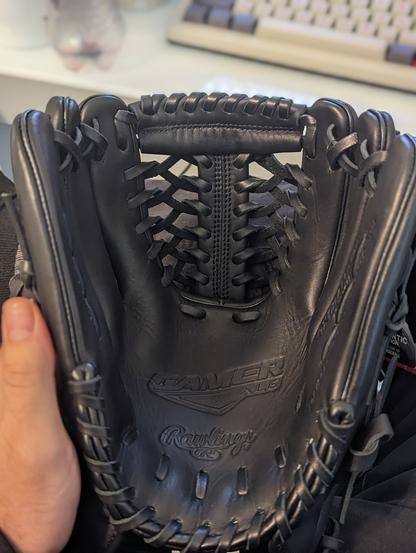 What? I suspect is actually a plastic model of a glove and not the real thing