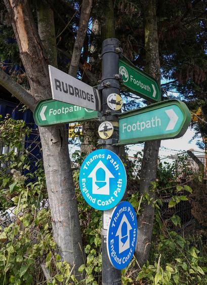 A 'fingerpost' footpath signpost has a large number of signs pointing in various directions, for the Thames Path/England Coast Path, Saxon Shore Way, 'Soldiers, Sailors and Skylarks' (with a picture of a bird), Rudridge, and two just marked Footpath. It's set amidst two trees and rising undergrowth around it, a fence with barbed wire near behind it.