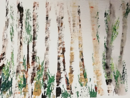 Several birch tree trunks on a light background