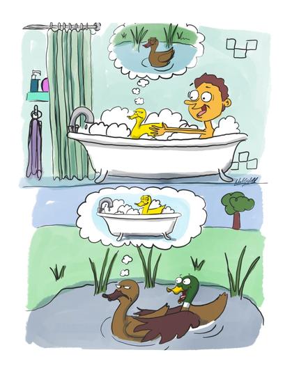 Bild 1: eine genervte Gummiente mit einem übergriffigen Jungen im Schaumbad. Sie denkt an einen schönen Tag allein in einem Parkteich.
Bild 2: eine genervte Ente mit einem übergriffigen Enterich in einem Parkteich. Sie denkt an einen entspannten Tag als Gummiente in einem Schaumbad.