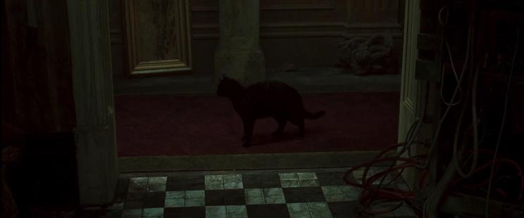 Ein dunkler Raum mit Blick durch eine offene Tür in einen Flur. Auf einem roten Teppich ist eine schwarze Katze.