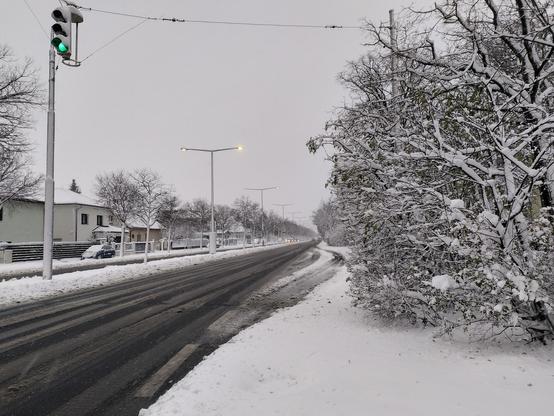 Die Altmannsdorfer Straße mit weniger Autos (kurz fürs Foto gar keine!) als sonst an einem Samstag Nachmittag. Die Fahrbahn an sich ist fast schneefrei, alles andere, Grünstreifen, Büsche, Bushaltestellenstreifen, Laternenmasten, Häuser, geparkte Autos, Zäune ist dick mit Schnee bedeckt.