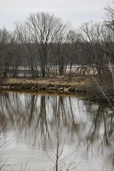 Reflections of trees in the Wisconsin river on an overcast day. A vertical shot. Sandbar and river in the background and a tree covered island in the middle