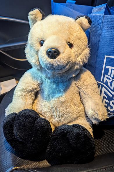 Glacier, my arctic foxie plush