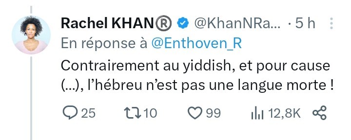 Tweet de Rachel Kahn : "Contrairement au Yiddish, et pour cause (...) l'hébreu n'est pas une langue morte !"

Je ne sais pas du tout à quoi correspondent les (...) !
Est-ce une auto citation?