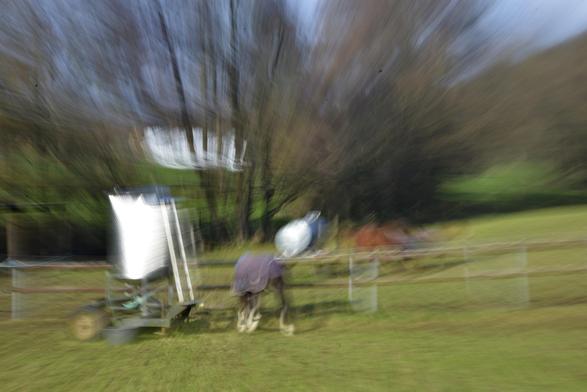 Auf einer Weide stehen drei Pferde neben einer Tränke. Alles ist sehr verwischt, da während dieser Langzeitbelichtung die Brennweite des Zoom-Objektivs verstellt wurde, wodurch ein gewisser Bewegungsunschärfe-Effekt erzielt wird.