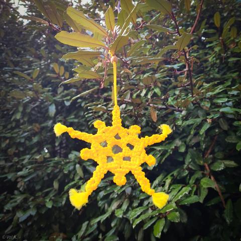 Photo couleur d'une étoile à 10 branches, 5 grandes et 5 petites, et toute jaune, accrochée dans l'oléastre.