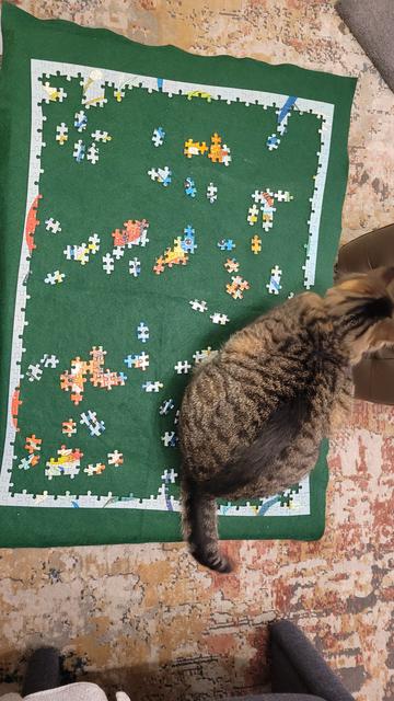 Photoshot from above of green felt topping a small coffee table. On top of the felt, a jigsaw puzzle in progress. The frame is complete and several patches of connected pieces have been placed on the board. A brown striped tabby cat crouches on top of the upper right hand corner of the table.