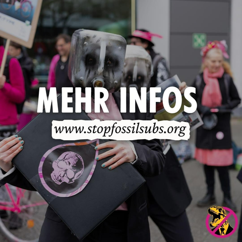 Sharepic mit dem Text: "Mehr Infos https://www.stopfossilsubs.org"