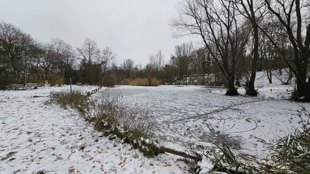 Görlitzer Parkteich