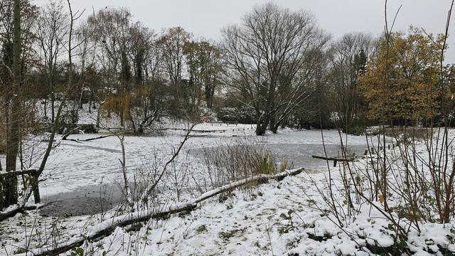 Görlitzer Parkteich