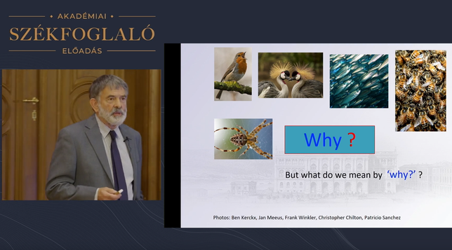 Screen capture of the lecture by John McNamara with a slide asking "why?"