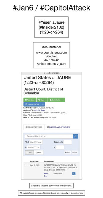 Screenshot of information from court docket pertaining to January 6th riot participant Yesenia Jaure.