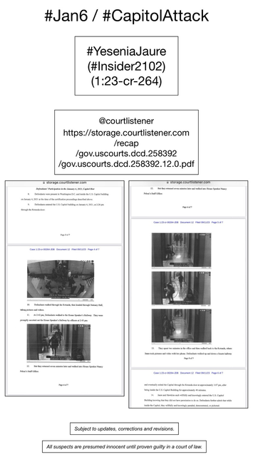 Screenshot of pages from court document pertaining to January 6th riot participant Yesenia Jaure.
