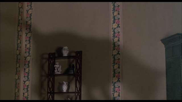 Gustaf's shadow on the wall