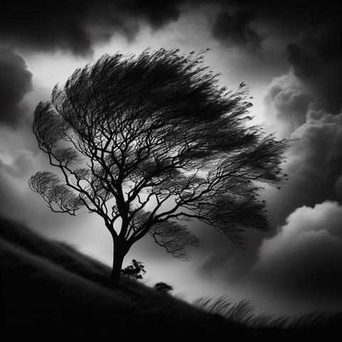 Imagen del teclado Microsoft SwiftKey Beta noche ventosa, un árbol muy grande moviéndose con el viento y las nubes por detrás, todo en blanco y negro