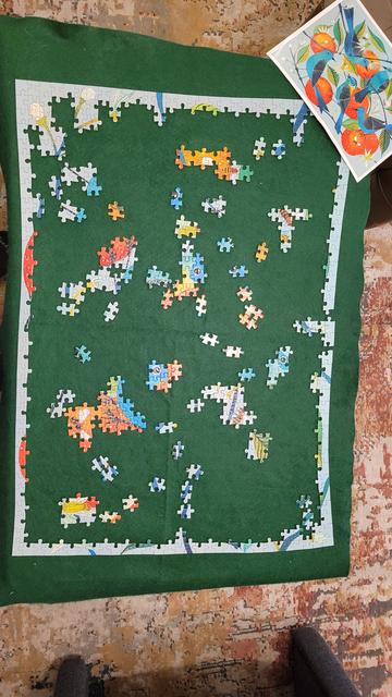 Photo taken from above of a green felt background with a puzzle that's being worked on. The edge of the puzzle is complete and various patches of pieces are connected, starting to form images of the eyes of birds, bees, oranges, and a few buds and blossoms. In the upper lefthand corner a print illustrates what the finished puzzle will look like with bright turquoise birds with black and white striped wings sitting on the branches of trees full of oranges, leaves in two shades of green, blossoms, and buds.