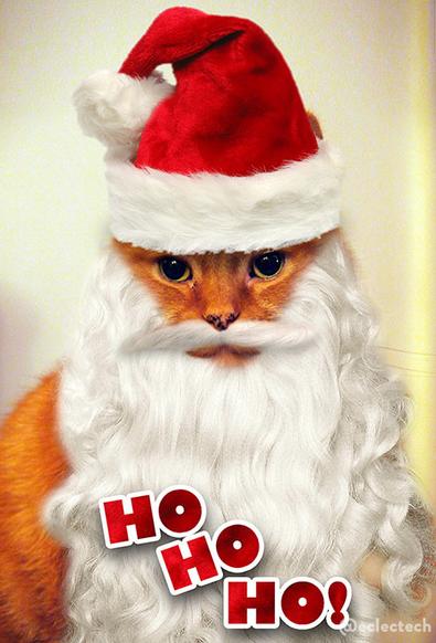 Portrait of a ginger cat, looking to camera, wearing a Santa hat and long curly white beard and moustache. It looks surprisingly dignified, all things considered. At the bottom, in red cheery letters, are the words HO HO HO!